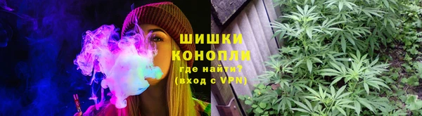 каннабис Аркадак