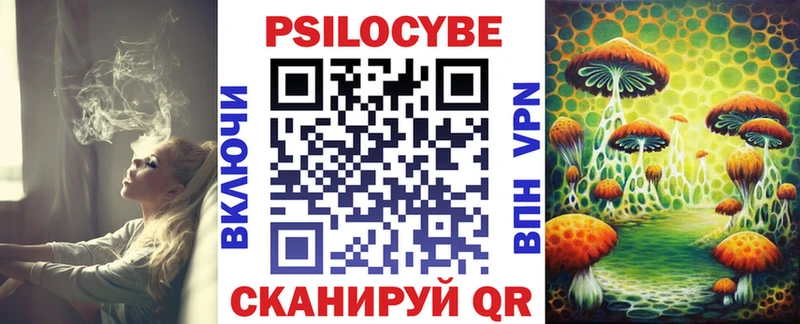 купить Чехов Псилоцибиновые грибы Magic Shrooms